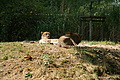 DSC03333 - Bernhard Saalfeld