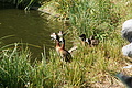 DSC03337 - Bernhard Saalfeld