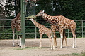 DSC03338 - Bernhard Saalfeld