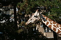 DSC03339 - Bernhard Saalfeld
