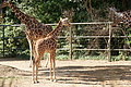 DSC03340 - Bernhard Saalfeld