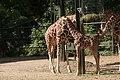 DSC03341 - Bernhard Saalfeld