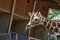 DSC03342 - Bernhard Saalfeld