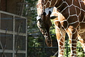 DSC03344 - Bernhard Saalfeld
