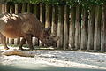 DSC03347 - Bernhard Saalfeld