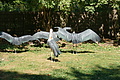 DSC03349 - Bernhard Saalfeld