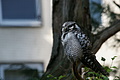DSC03357 - Bernhard Saalfeld