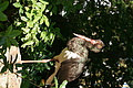 DSC03359 - Bernhard Saalfeld