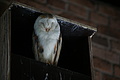 DSC03360 - Bernhard Saalfeld
