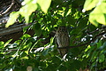 DSC03364 - Bernhard Saalfeld
