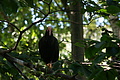 DSC03365 - Bernhard Saalfeld