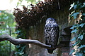 DSC03367 - Bernhard Saalfeld