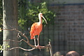 DSC03369 - Bernhard Saalfeld