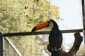 DSC03370 - Bernhard Saalfeld