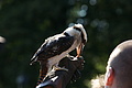 DSC03373 - Bernhard Saalfeld