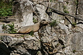 DSC03375 - Bernhard Saalfeld