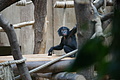 DSC03377 - Bernhard Saalfeld