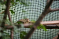 DSC03381 - Bernhard Saalfeld
