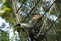 DSC03382 - Bernhard Saalfeld