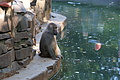DSC03383 - Bernhard Saalfeld