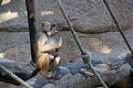 DSC03384 - Bernhard Saalfeld