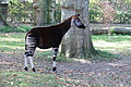 DSC03388 - Bernhard Saalfeld