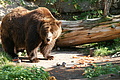 DSC03393 - Bernhard Saalfeld