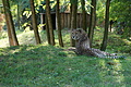 DSC03394 - Bernhard Saalfeld