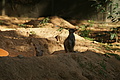 DSC03399 - Bernhard Saalfeld