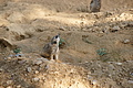 DSC03402 - Bernhard Saalfeld