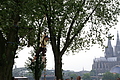 PICT5521 - Bernhard Saalfeld