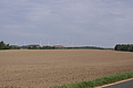 PICT7002 - Bernhard Saalfeld