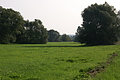 PICT7273 - Bernhard Saalfeld