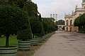 PICT7591 - Bernhard Saalfeld