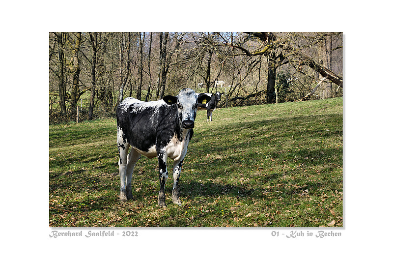 Bernhard Saalfeld - 01_800