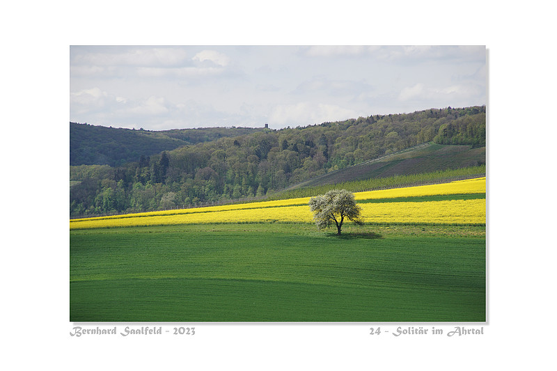 Bernhard Saalfeld - 24_800