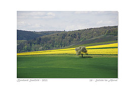 Bernhard Saalfeld - 24_800