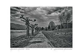 Bernhard Saalfeld - 15