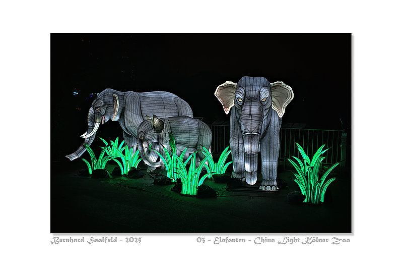 Bernhard Saalfeld - 03