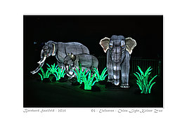 Bernhard Saalfeld - 03