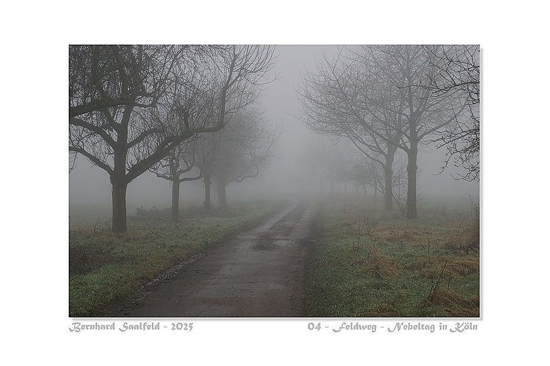 Bernhard Saalfeld - 04