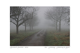 Bernhard Saalfeld - 04