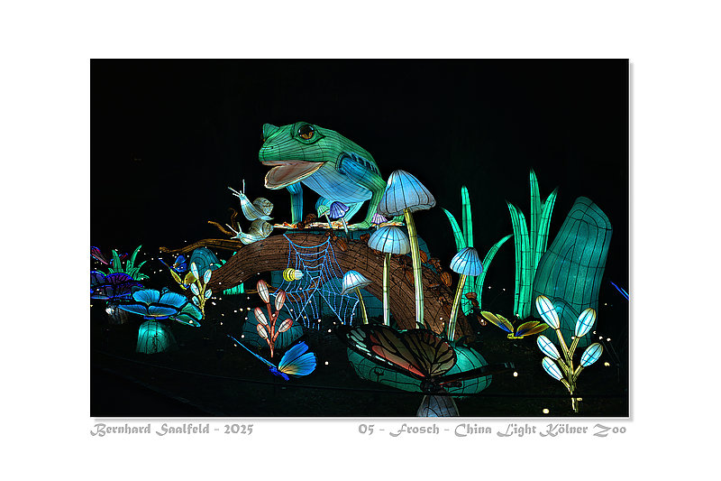 Bernhard Saalfeld - 05