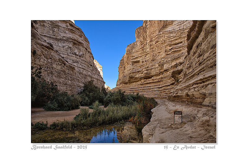 Bernhard Saalfeld - 15