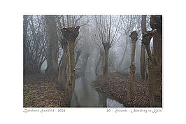 Bernhard Saalfeld - 20