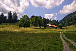 Bernhard Saalfeld - Falkenalpe