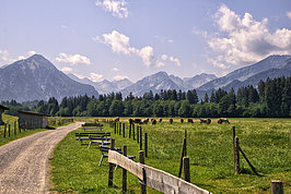 Bernhard Saalfeld - Illertal