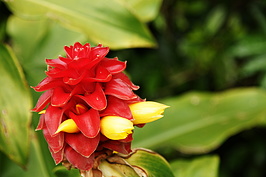 Bernhard Saalfeld - DSC04141.JPG