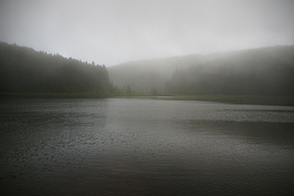 DSC05887_t.JPG