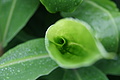 Bernhard Saalfeld - DSC04433.JPG